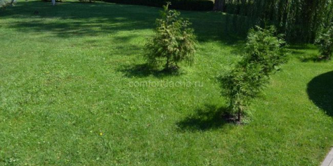 Jak vyrovnat pozemek v zemi vlastníma rukama pod trávníkem